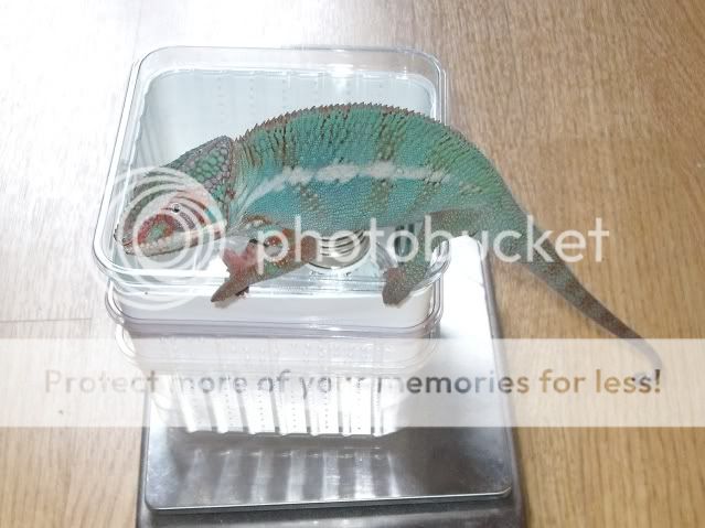 ee95821b.jpg