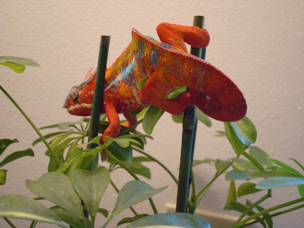 DSC01176.jpg