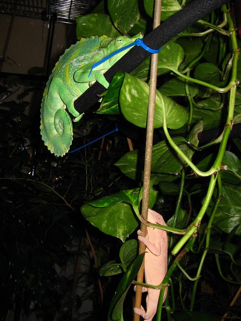 IMG_1276.jpg