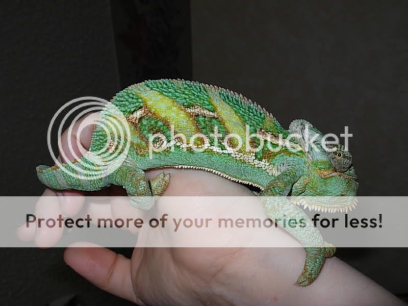 DSCN4646.jpg