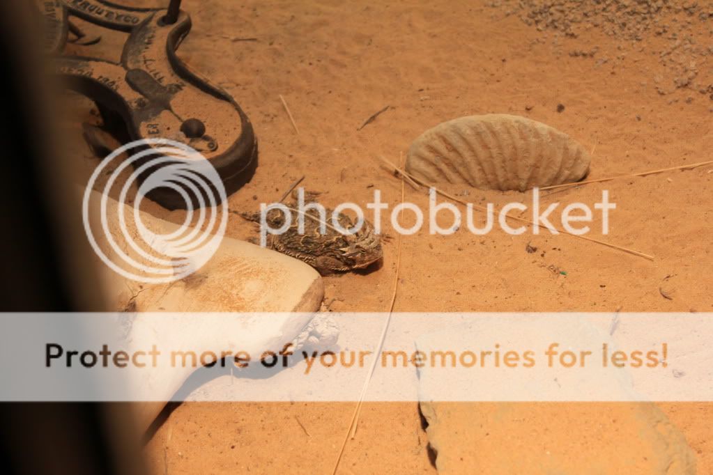 Dayattheftworthzoo177.jpg