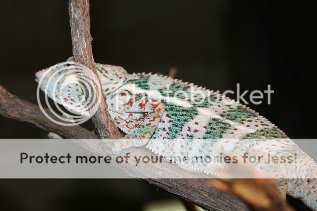 picsfromtoday031.jpg
