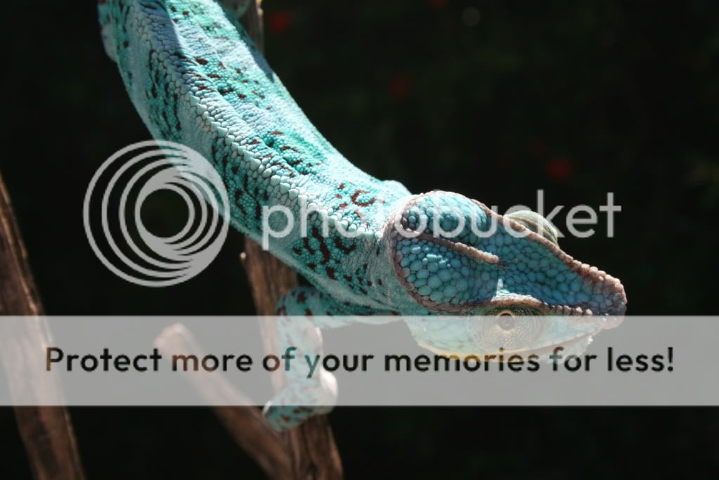 5-1-2010042.jpg
