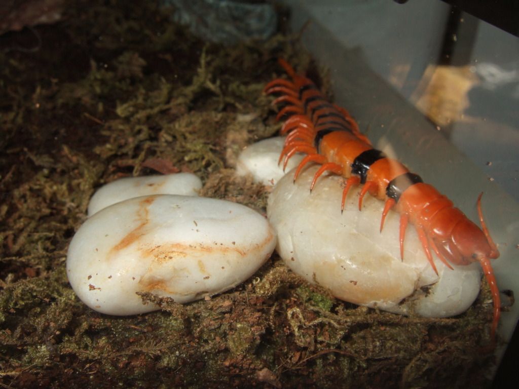 DSCF5597.jpg