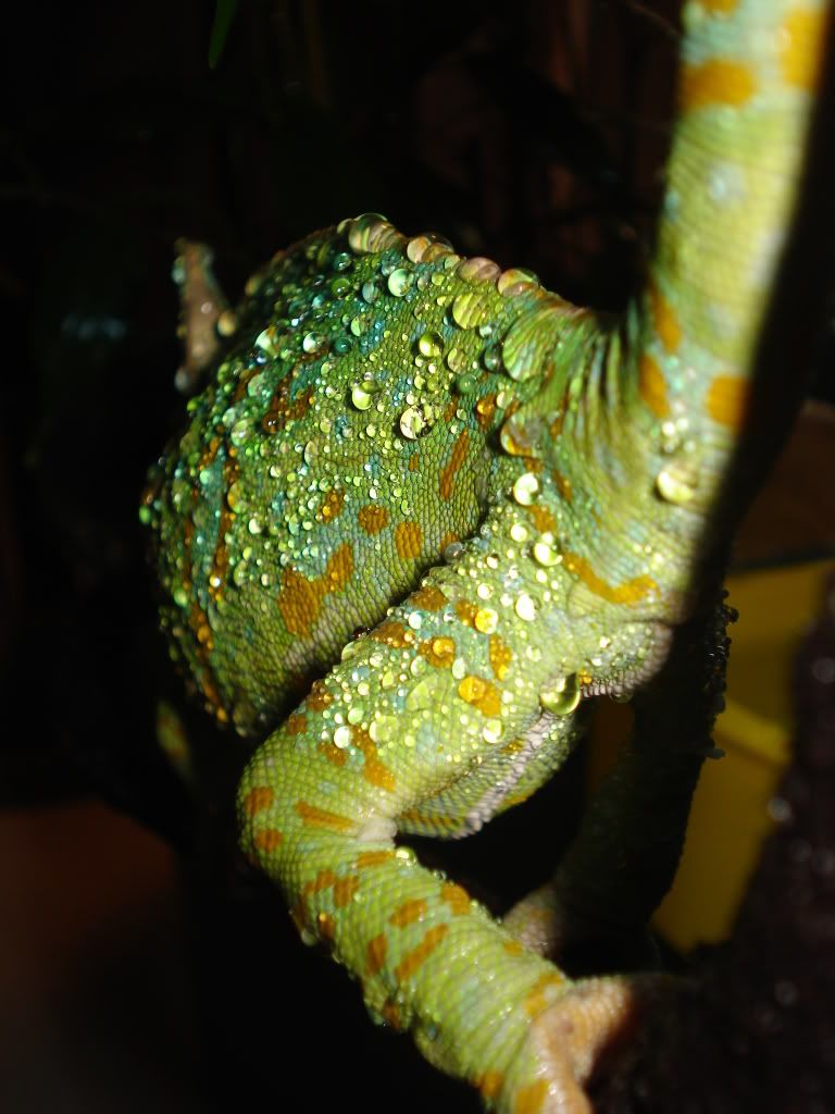 DSC05830.jpg
