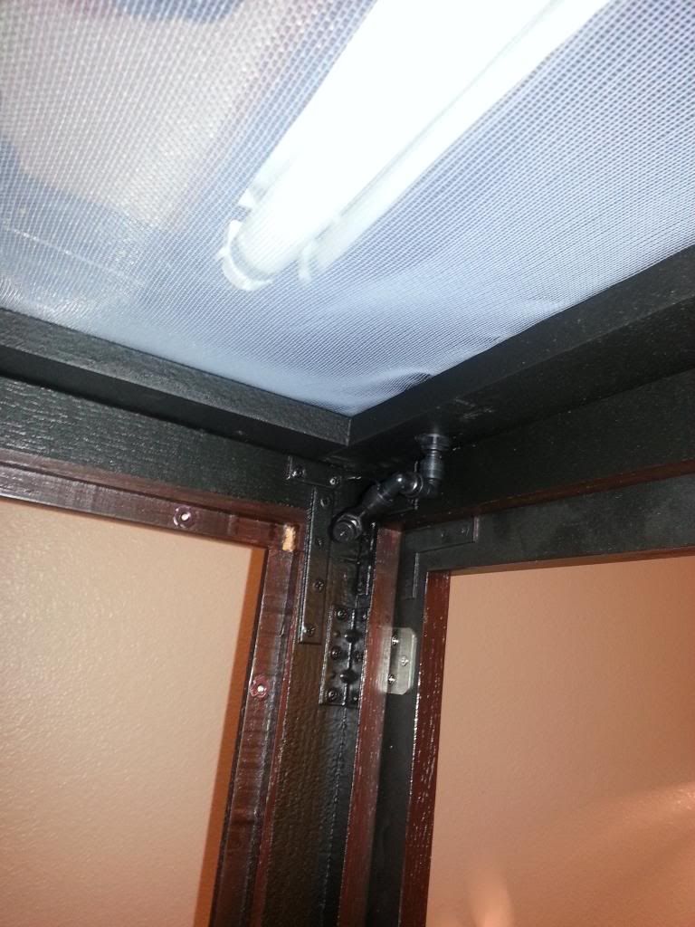 DIY Chameleon Mansion Build | Chameleon Forums