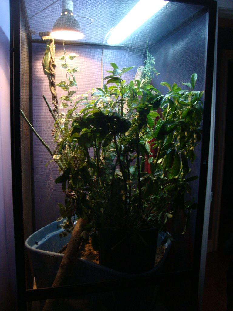 DSC02804.jpg