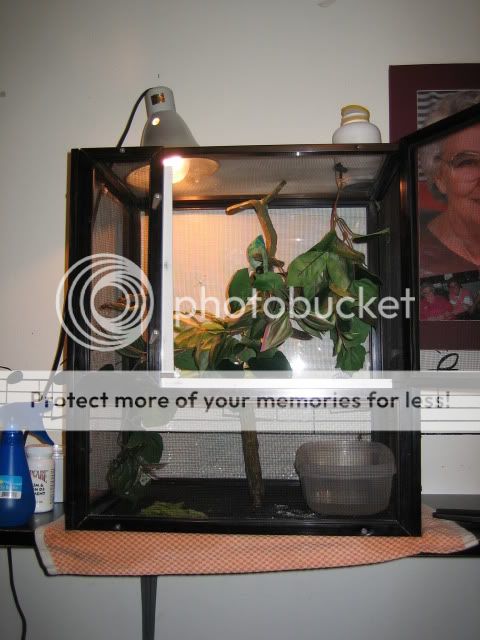 NewPhotos042.jpg