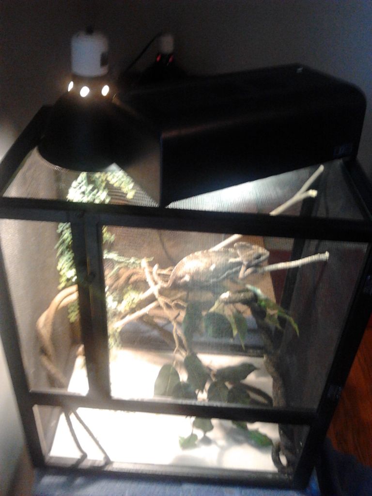 2012-07-22154439.jpg