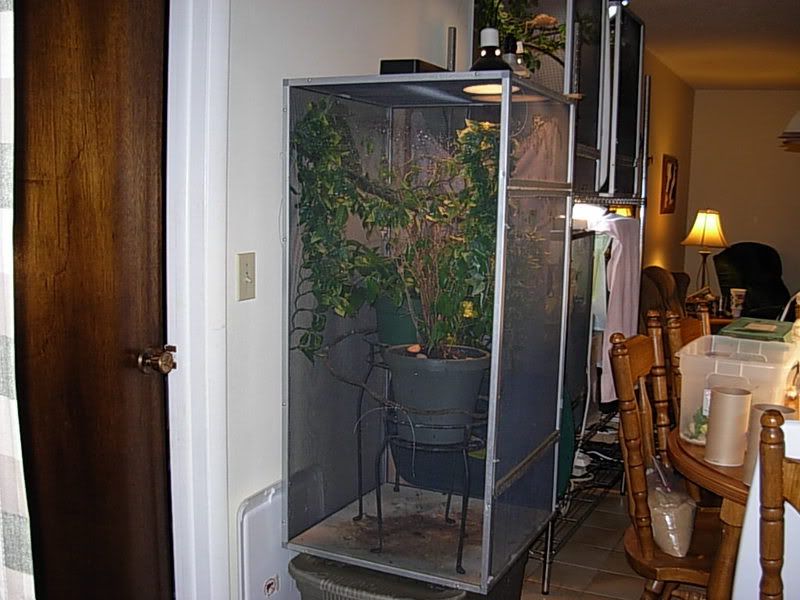 DSCN2214.jpg