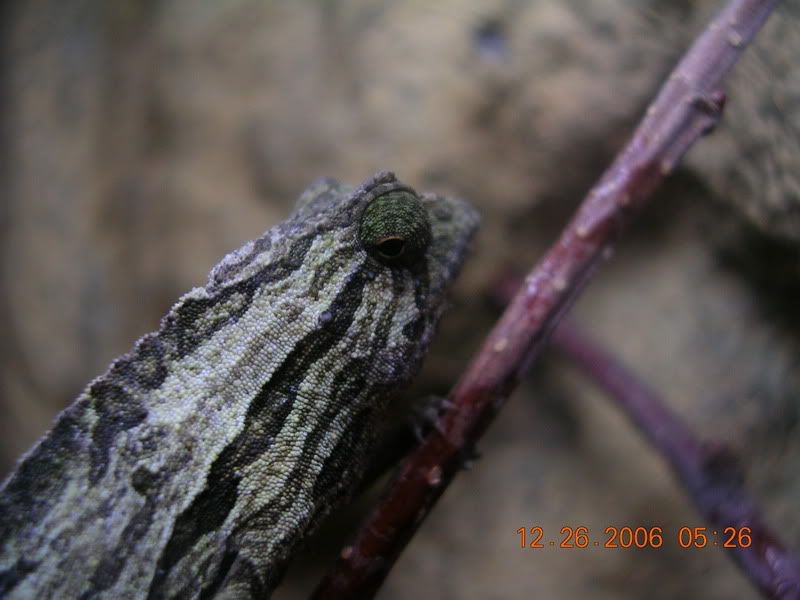 DSCN3423.jpg