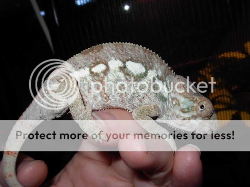 DSCN5809.jpg