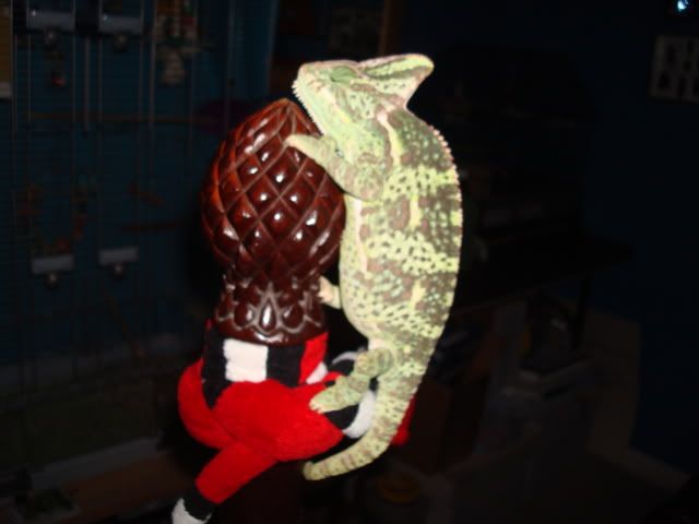 DSC03290.jpg