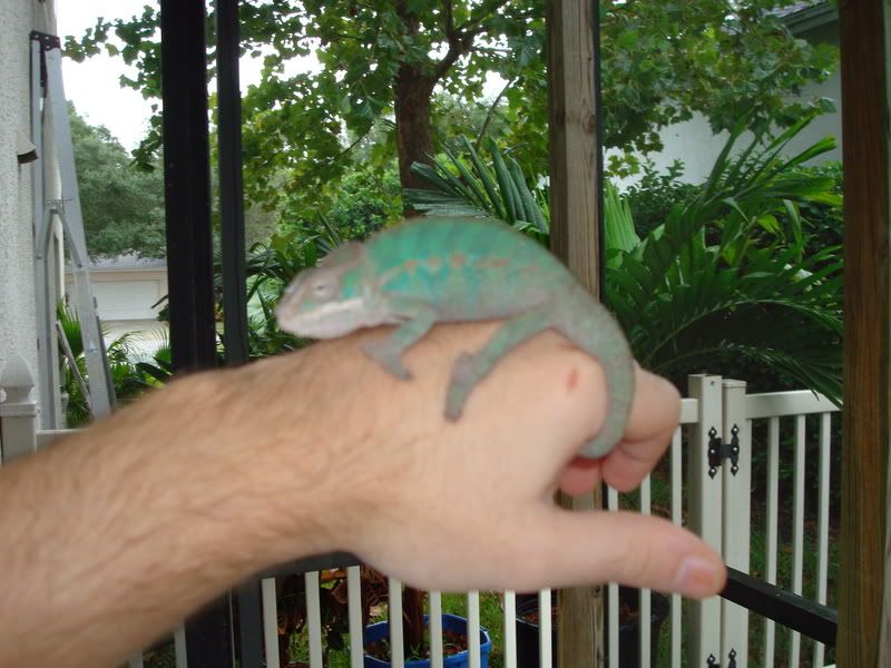 DSC00677.jpg