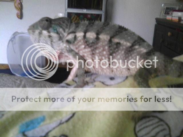 1120121034.jpg