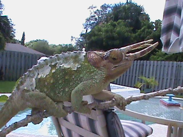 DSC00002.jpg