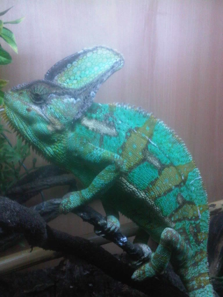 IMG00861-20110724-2004.jpg