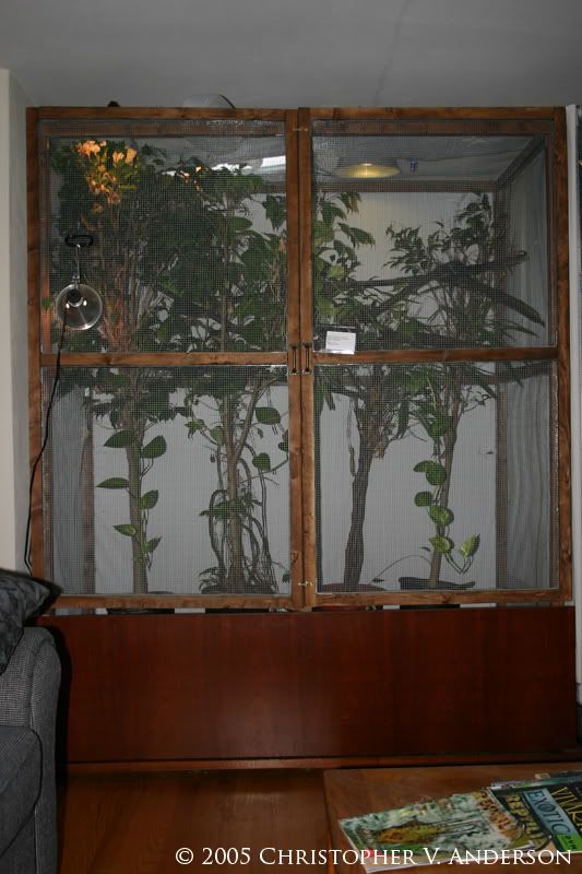 Picture677copy.jpg