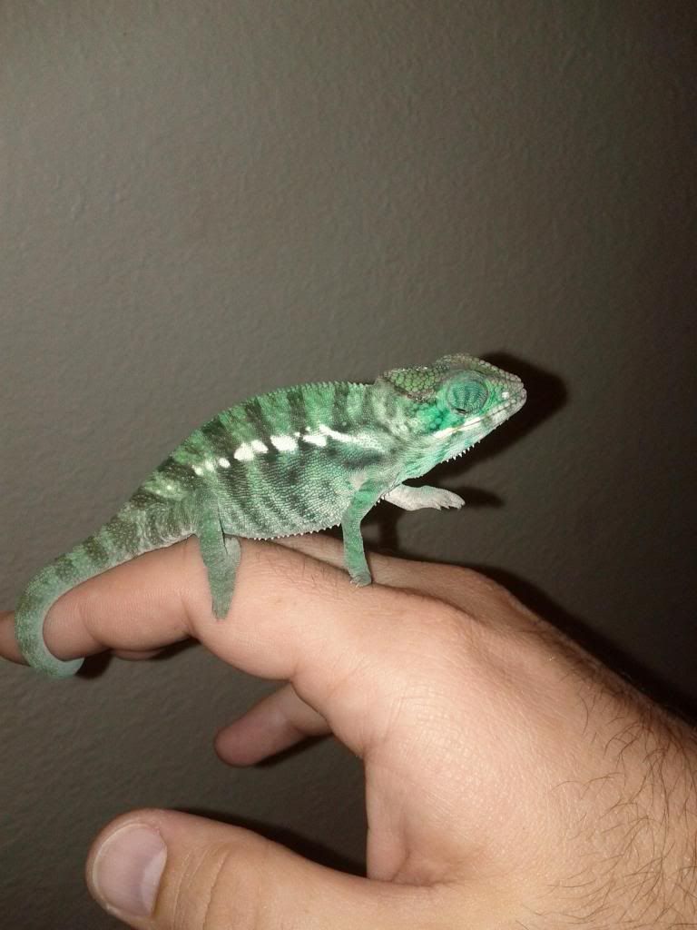IMG_20121107_163840.jpg