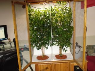 DSC03318-1.jpg
