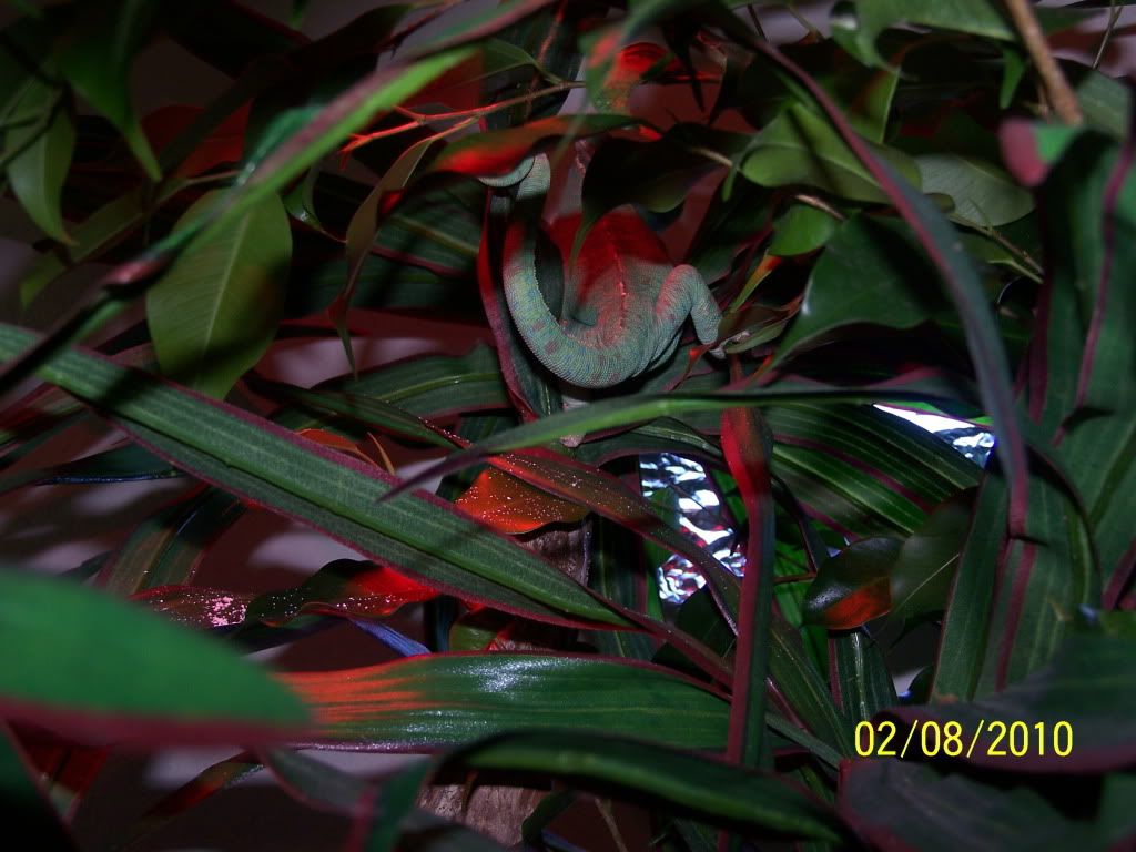 100_2371.jpg