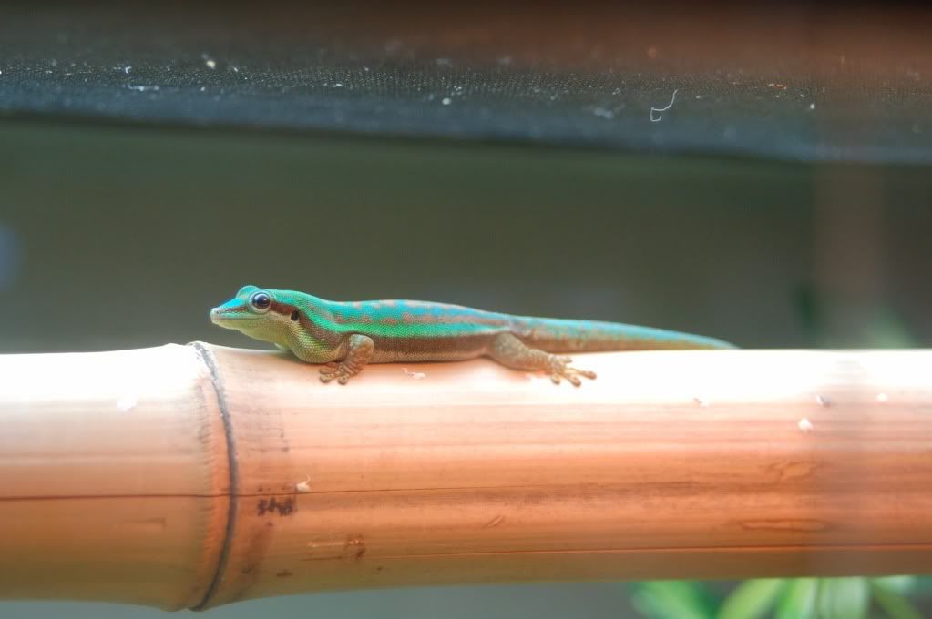 DSC_3067.jpg