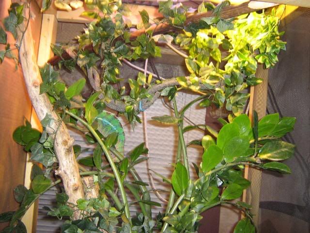 ImportedPhotos00068.jpg