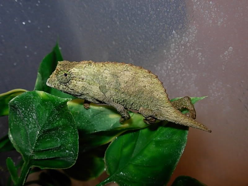 DSCN2963.jpg