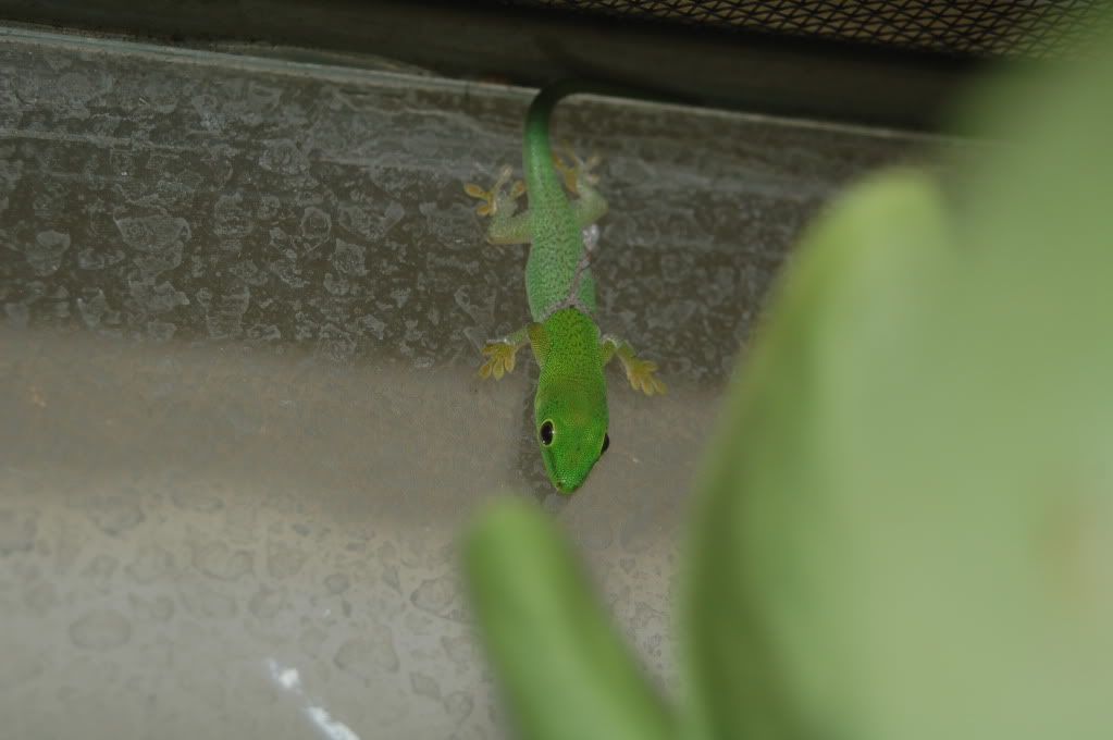 DSC_3651.jpg