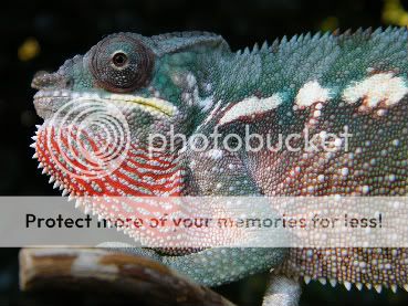 DSCF2326-1.jpg