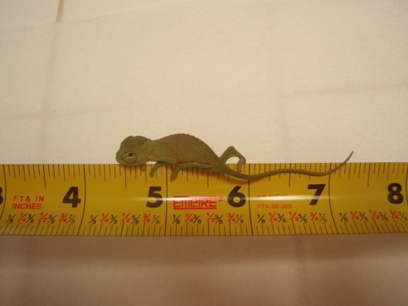 P4200021.jpg