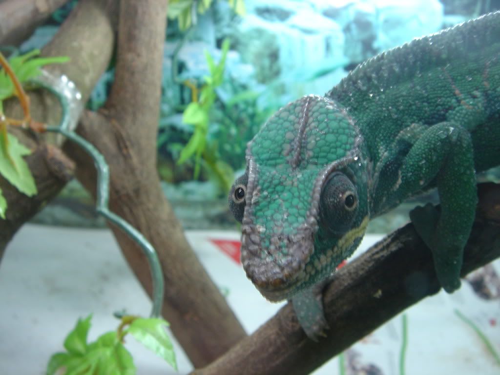 DSC00435.jpg