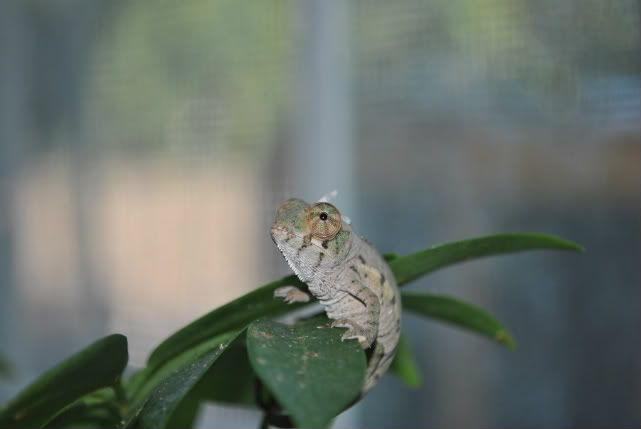 DSC_01005.jpg