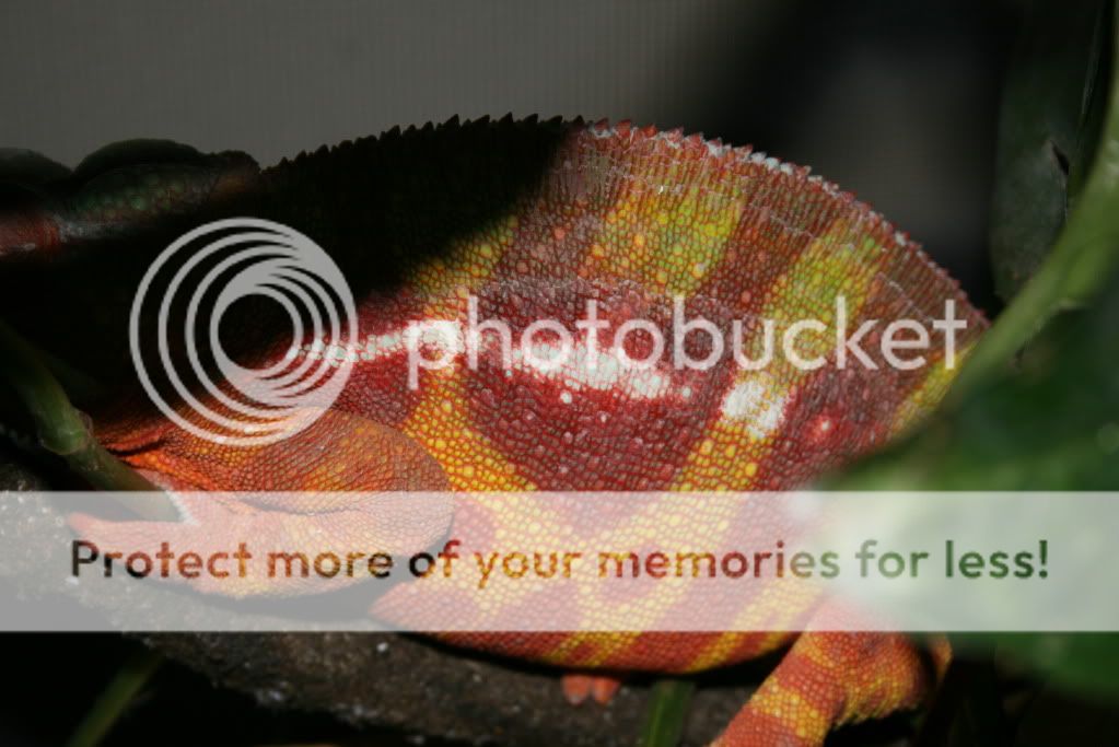 eospics9-19-09029-2.jpg