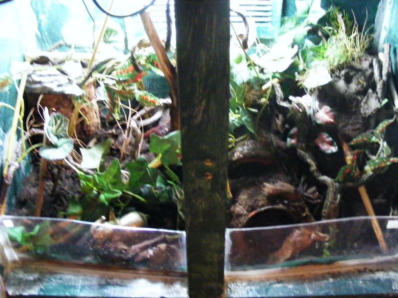 DSCF9205.jpg