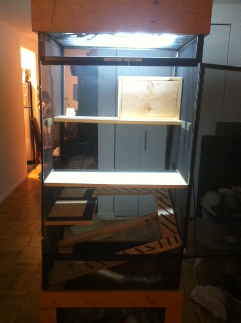 cage-1_zps4c45bf91.png