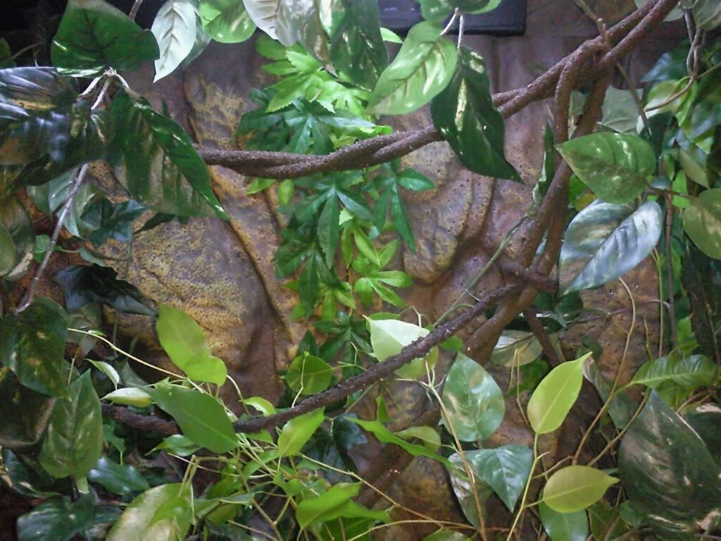 Photo0610.jpg