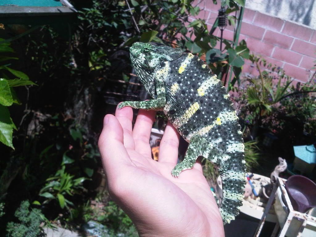 IMG-20110912-00275.jpg