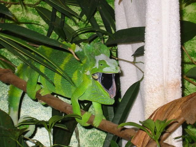 IMG_1655.jpg