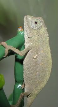IMG_0046-1-1.jpg