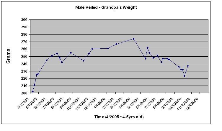 Weight3.jpg