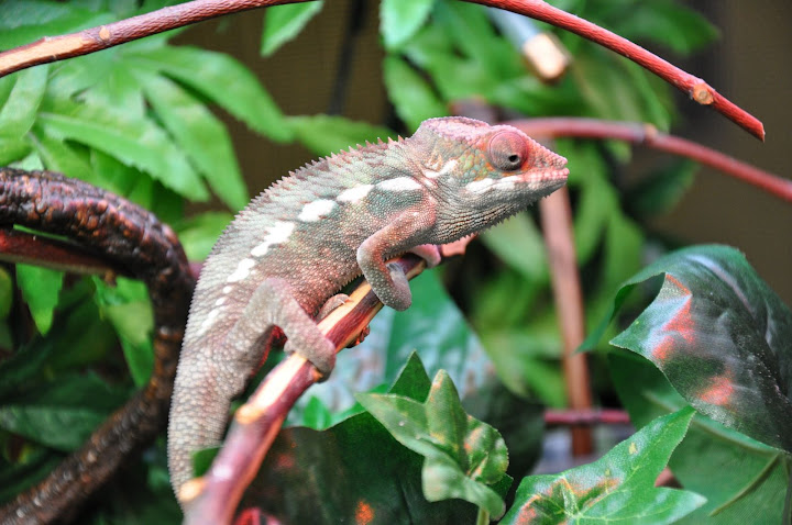 DSC_0154.JPG