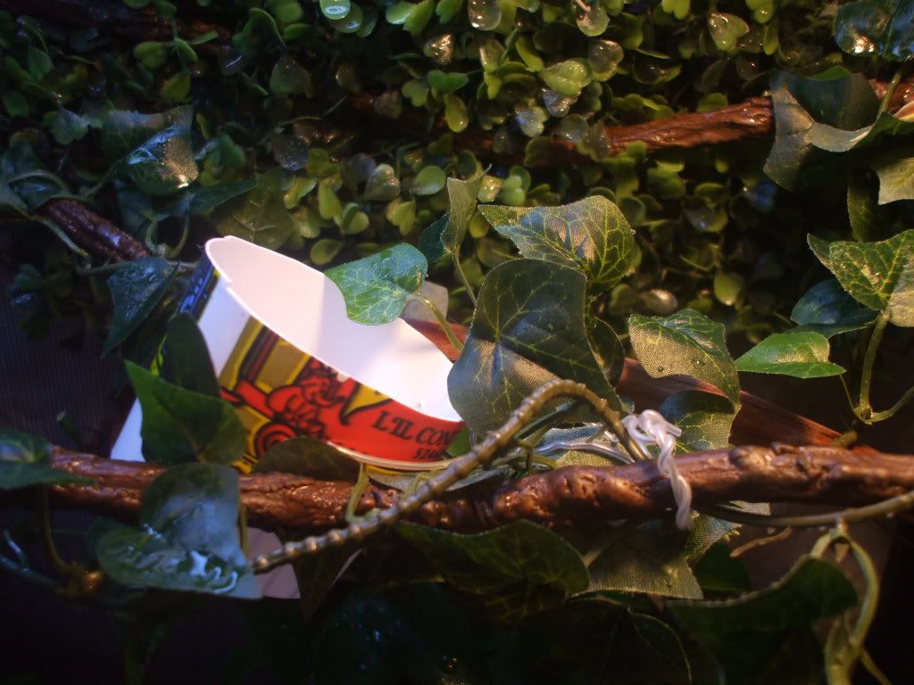 DSCF4532.jpg