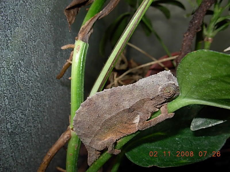 DSCN0492.jpg