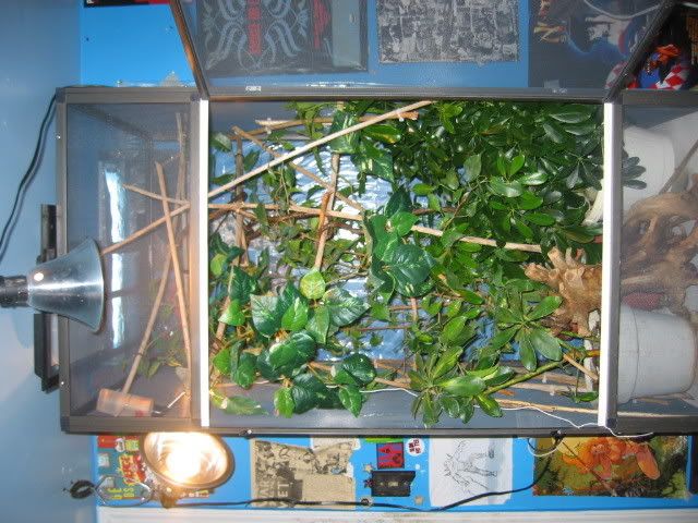April2008002.jpg