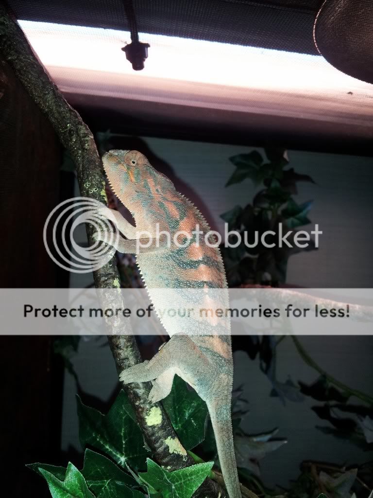 C360_2013-11-08-08-36-45-910_zpsc3d9bb76.jpg