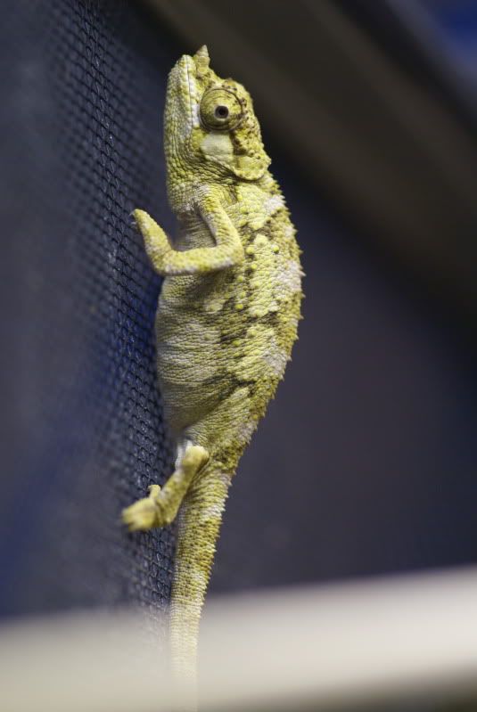 DSC07775.jpg
