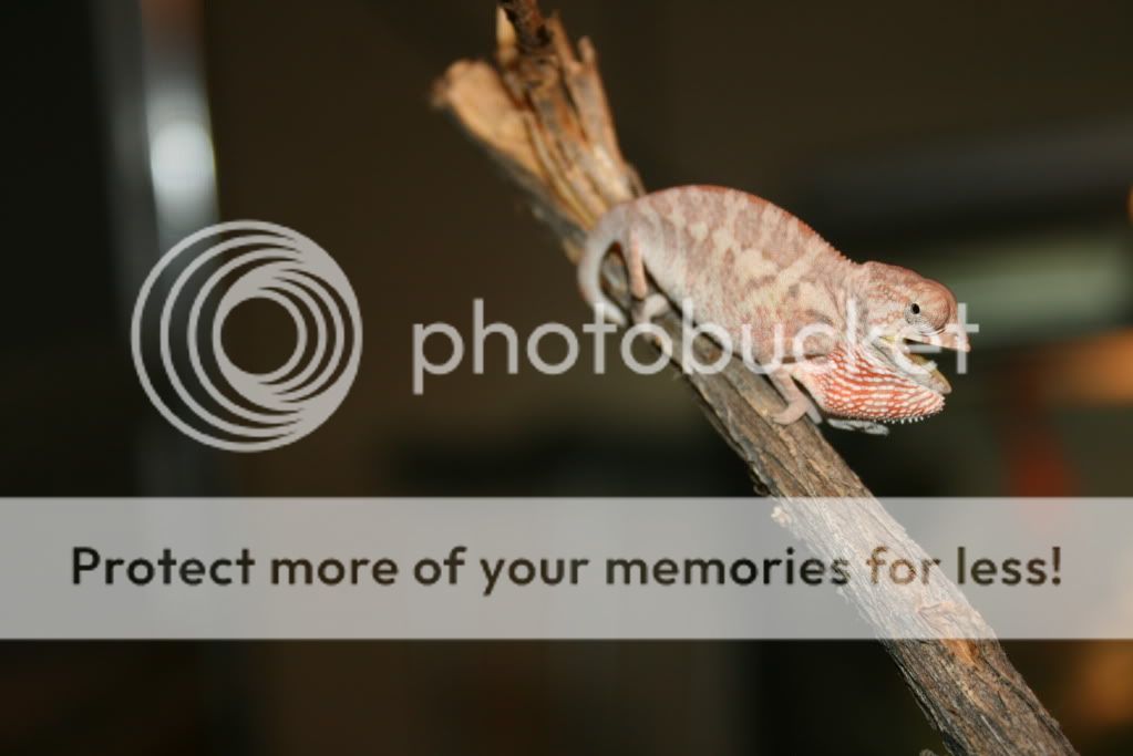 picsfromtoday014.jpg
