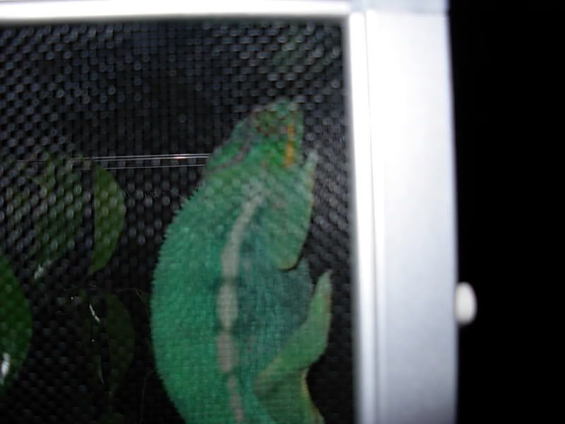DSCN1243.jpg