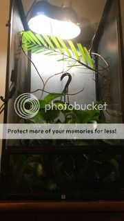 IMG_4275.jpg